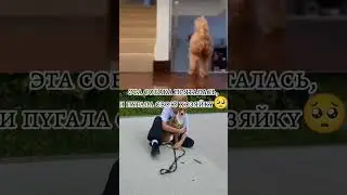 эх..