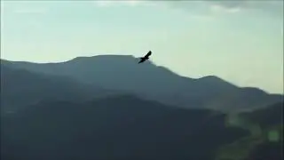 Music - Meditation - Long Way Home (Predator)
