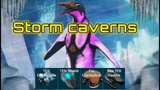 Storm Caverns Ark Dungeon fast run