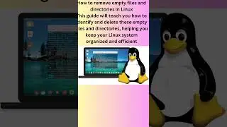 How to remove empty files and directories in Linux #shortvideo #linuxcommand #youtubeshort