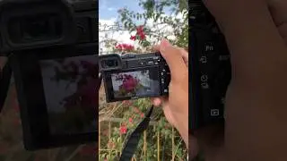 Sony A6400 photography test 