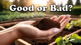Coffee Grounds For Your Garden!