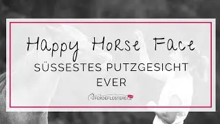 The Happy Horse Face a.k.a. Putzgesicht