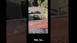 Чел, ты... 