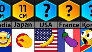 Average Penis Size (Country Comparison)