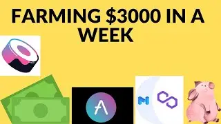 How I Got 3000$ in Matic for free