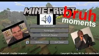minecraft bruh moments 1