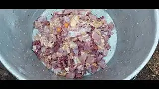 Bulk amount of chicken cutting and Curry cooking || Village side food cooking