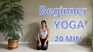 20 MIN Beginner Yoga Stretch