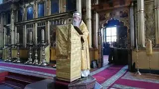 Владыка Корнилий: о поездке на Крестный ход в село Гарь