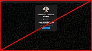Инвестиции Анатолий Шпаков обманывает? Отзыв!