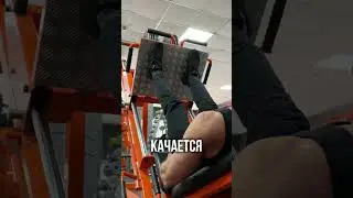 Чем заменить присед, если болит поясница?