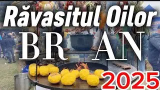 The Sheep Festival in Bran 2025 – Tradition, Music and Goodwill