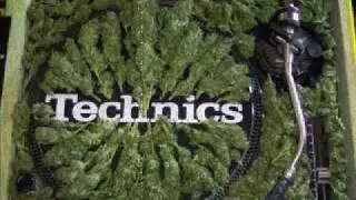 dj brockie - mc shabba, mc bassman, mc fearless, shaydee, mc juiceman 