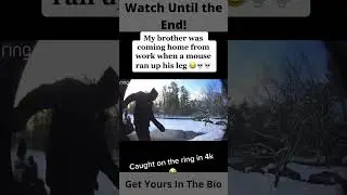 Rat Attack Caught On Ring Doorbell Camera 