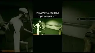 что делать если тебя преследуют scp 