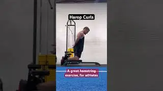 Harop Curls - A great hamstring exercise, for athletes