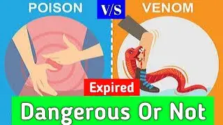 Poison Vs Venom | Expired Poison Or Venom More Dangerous Or Less Dangerous ?