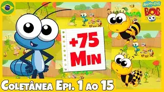 Coletânea do Bob Zoom Episódios 1 a 15 | Video Infantil Musical Oficial | @Bob Zoom