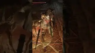 Elden Ring x The Witcher - Geralt of Limgrave vs Black Knife Assassin 