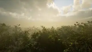 Trees Vol. 4 - Wind Demo 3 - Unreal Engine 4.26 (4K)