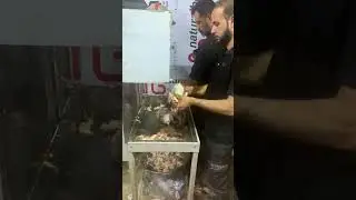 Syed Sajjad Naqvi | Mokib Aqeela E Bani Hashim as Pole 475