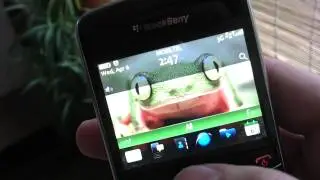 Zen Frog - Animated Pet Theme for Blackberry