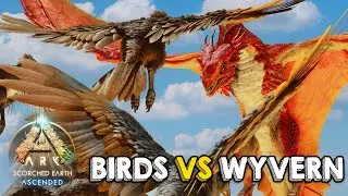 Argentavis Army vs. Wyvern: Egg Heist Gone Wrong! | ARK: Survival Ascended
