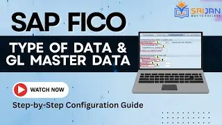 Master SAP FICO: Understanding Types of Data & GL Master Data Essentials
