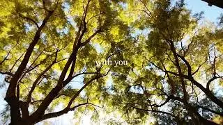 Sose Paez - hope (official lyrics video)