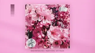 Blossom (R&B K-Pop Type Beat)