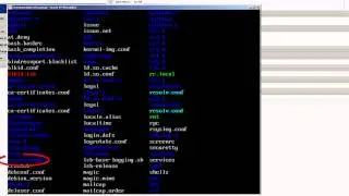 Clone Ubuntu Server and Reset Network Connections