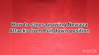 JUDO How to steps growing Newaza Attacks from Pull down position