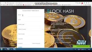 +++Block Hash Бонус 200 долларов за реферальную ссылку!