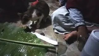 ngeliweut Lagi bos que