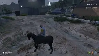 Toddy Network - Horse Script FiveM