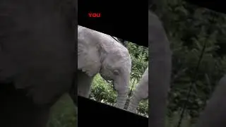 Scary things hidden in photos Part#16 