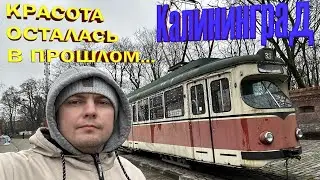 Kaliningrad Gate Campaign