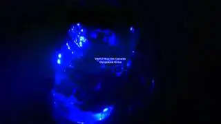 The Whoolie Shop LED Control Module Submersion Test