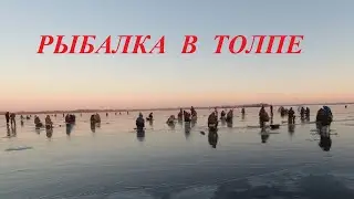 Рыбалка в толпе на Волге. Первый лёд 2020 - 2021.