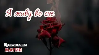 Я живу во сне