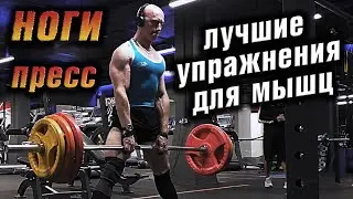 Pumping up your legs and abs. The best exercises for your leg and abdominal muscles