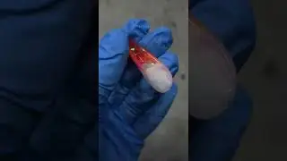 Аквариумный дизайн на ВЕРХНИХ ФОРМАХ.