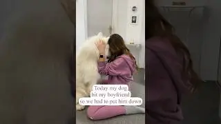 Bye bye Daddo 👋😂 #fun #comedy #samoyed #dog
