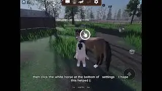 How to go invisible in strideway on Roblox!