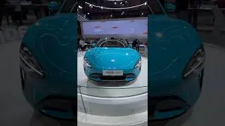 Is This Cheaper EV Worth It?