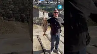 На Афон!Приезжай!