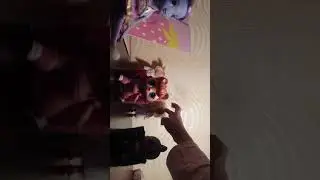 Любовь кукол лол 2 серия