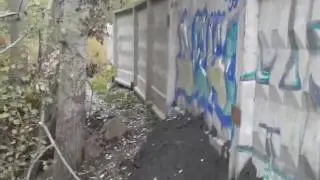 Озеро Гарячка в Киеве бурлит от отходов