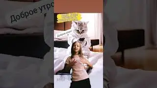 29 января 2024 г.